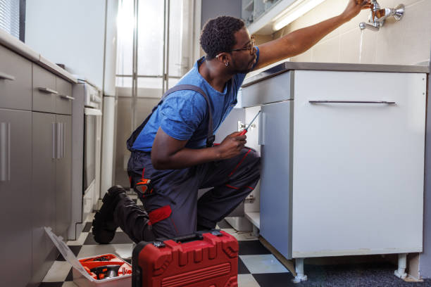 Best Same-Day Plumbing Service  in Horatio, AR
